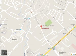 cebu digital hub location